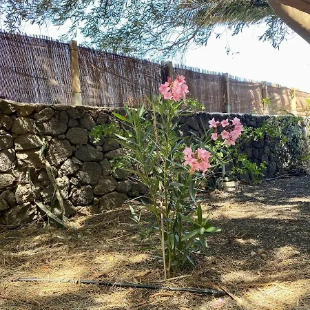 Casa Rural En La Naturaleza Kamp alanı San Bartolomé