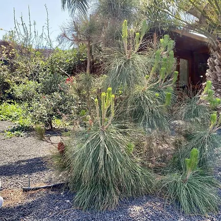 Kamp alanı Casa Rural En La Naturaleza